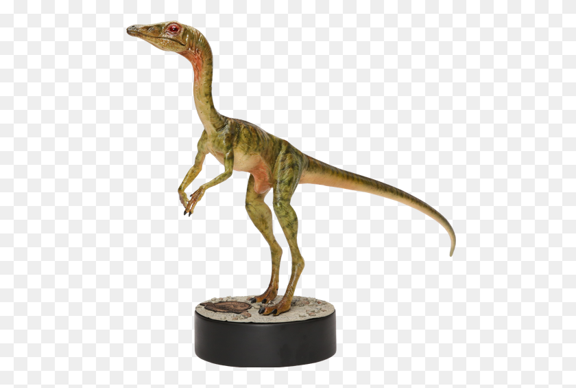 505x505 El Mundo Perdido De Jurassic Park Compsognathus Paradise - Jurassic Park Png