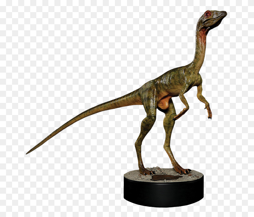 671x657 El Mundo Perdido De Jurassic Park Compsognathus Escala De Tamaño Natural - Jurassic Park Png