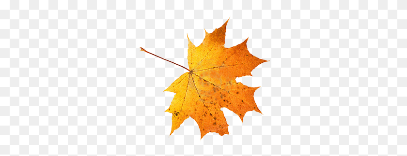 275x263 The New Code Seasonal Css Falling Leaves In Css - Fall Leaves Border PNG
