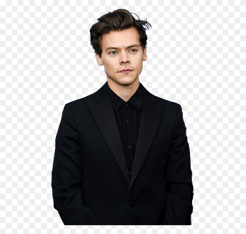 496x738 The Newest Harry Potter And Half Blood Prince Stickers - Harry Styles PNG