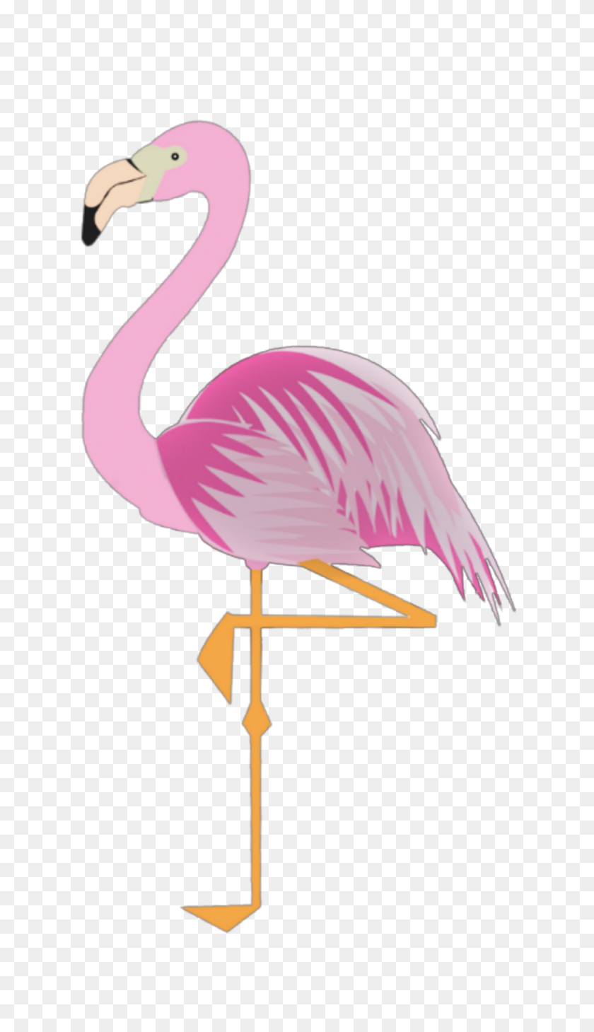 988x1773 Новейшие Наклейки - Розовый Фламинго Клипарт