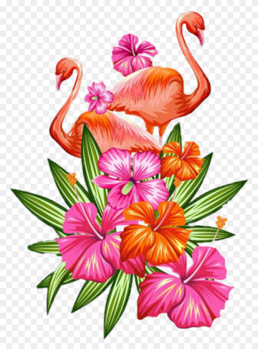 1431x1981 Las Pegatinas Tropicales Más Nuevas - Flores Tropicales Png