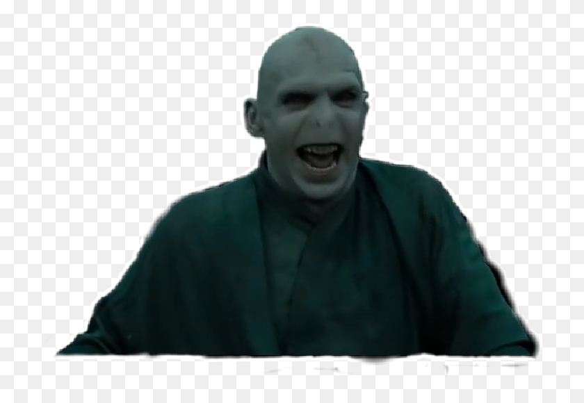 728x520 The Newest Voldemort Stickers - Voldemort PNG