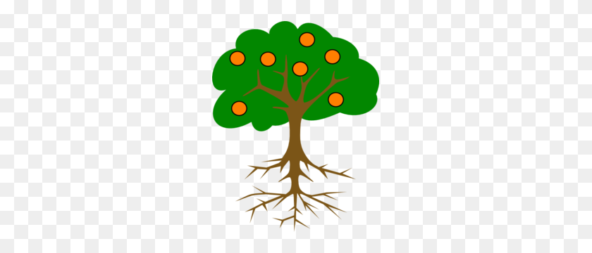 237x300 The Orange Tree Clipart - Árbol Png Clipart
