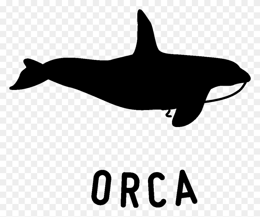 994x819 The Orca - Orca PNG