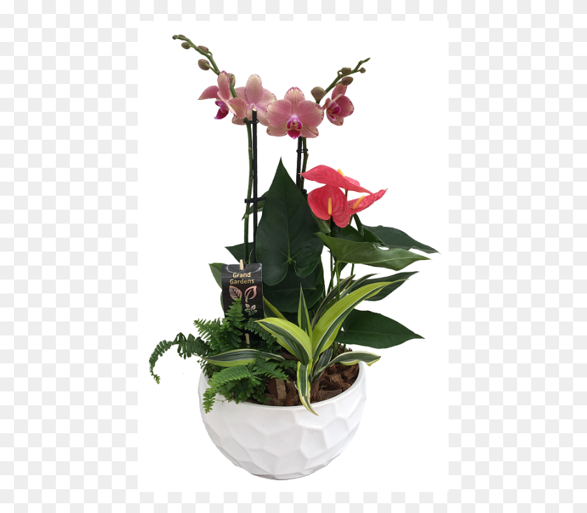 600x674 The Orchid Planter - Planter PNG