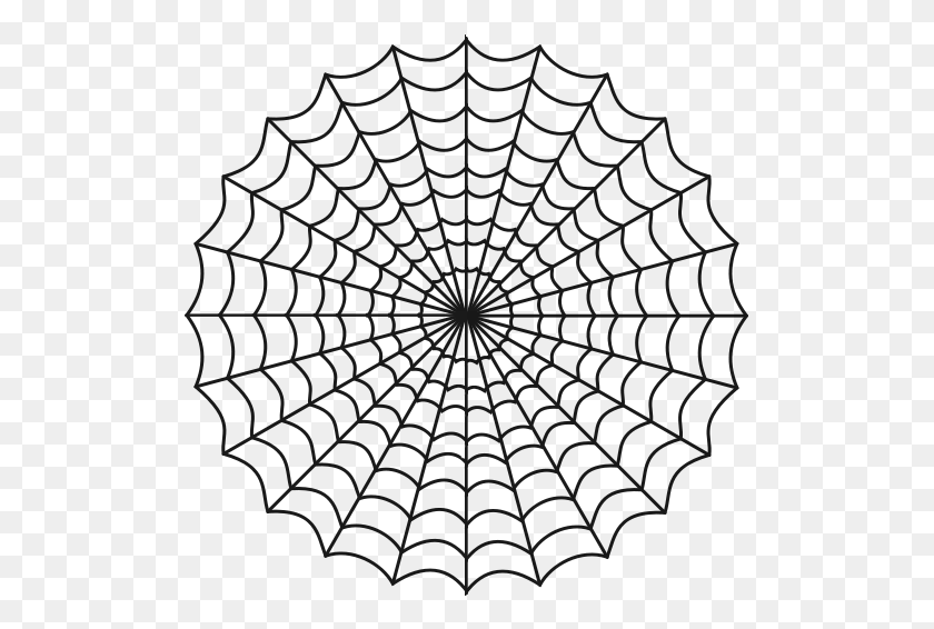 507x506 The Pictures - Cobweb PNG