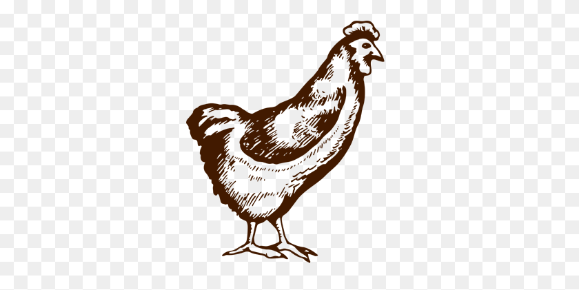 300x361 The Poultry Farmers Directory - Chickens PNG