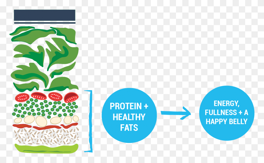 1351x797 The Protein Fat Powerhouse - Protein PNG