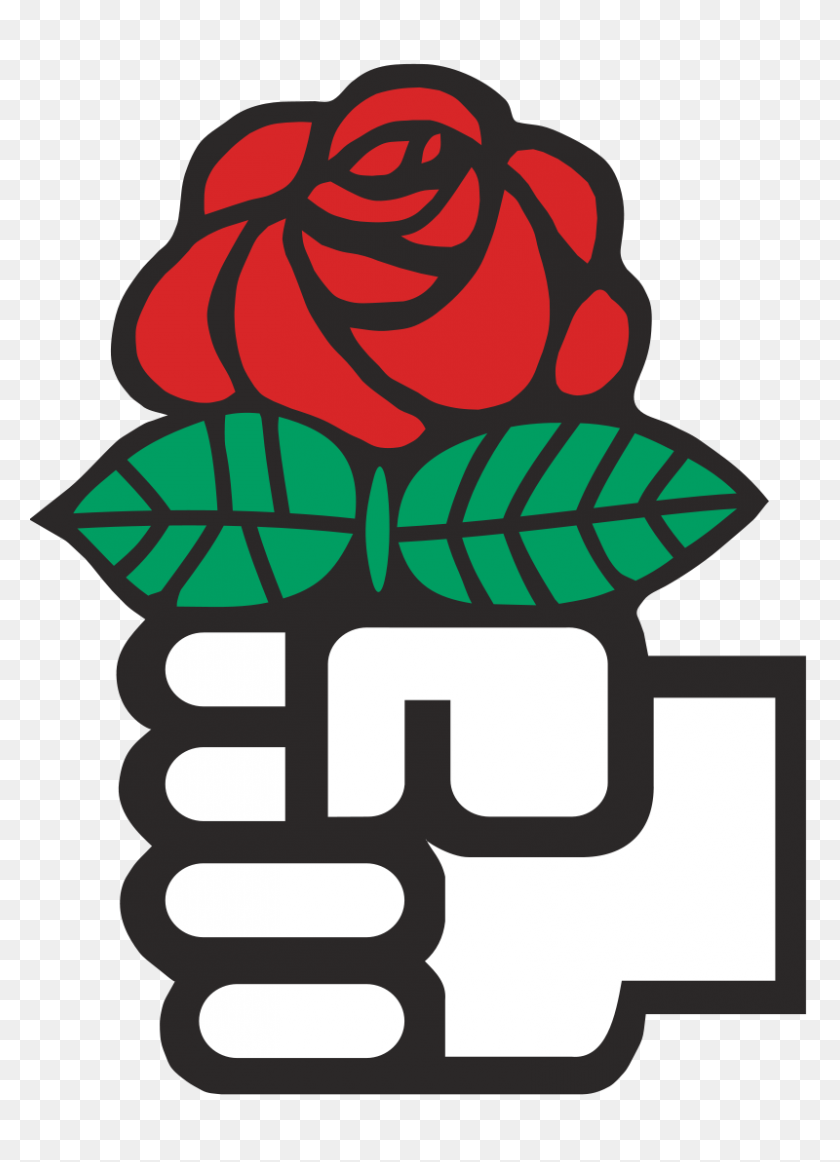 800x1131 Красная Роза - Символ Идеи Татуировки Социал-Демократии - Democracy Clipart