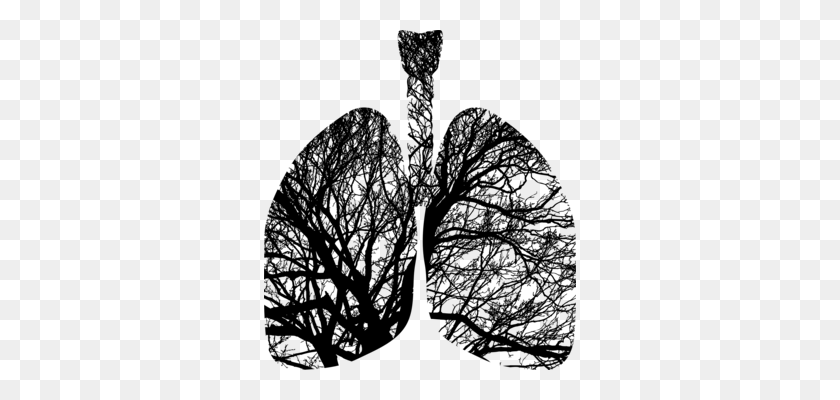 312x340 The Respiratory System Human Body Respiration Anatomy Free - Respiration Clipart