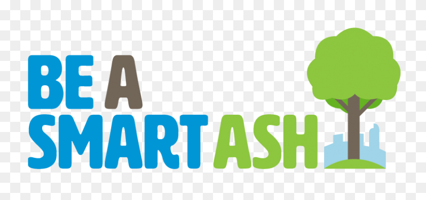808x346 The Smart Ash Be A Smart Ash - Ashes PNG