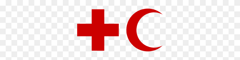 300x150 Постоянная Комиссия - Логотип Красного Креста Png
