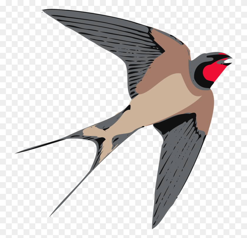 744x750 The Swallow Bird Barn Swallow Swallow Tattoo - Swallow Clipart