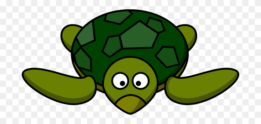 700x340 Черепаха Зеленая Морская Черепаха Черепаха - Фон Океан Клипарт