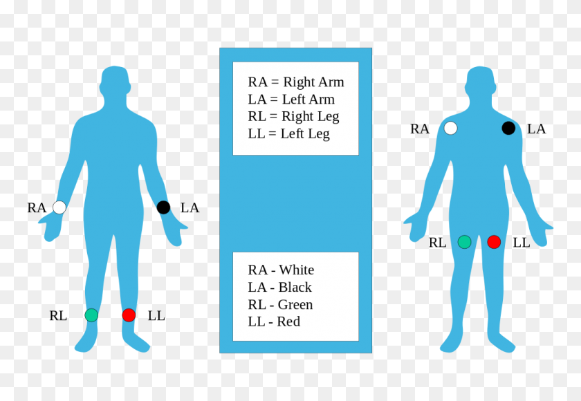 1024x683 The Ultimate Lead Ecg Placement Guide - Ekg PNG