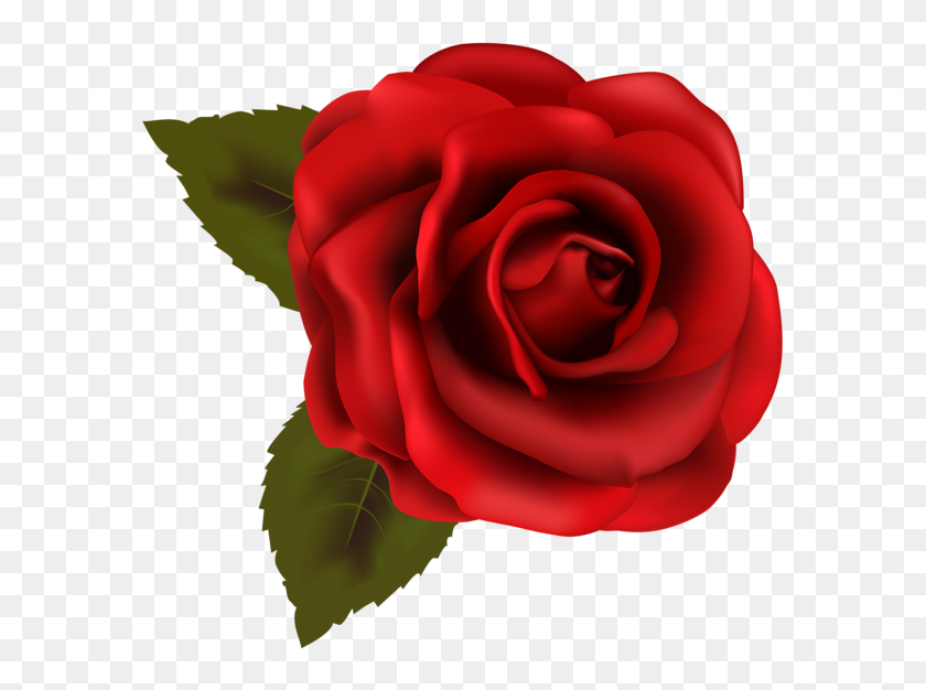 600x566 Things To Wear Red Roses - Rose Clip Art Images