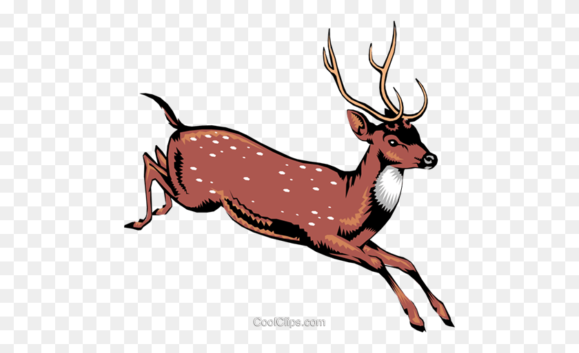480x453 This Is A Deer Royalty Free Vector Clip Art Illustration - Doe Head Clipart
