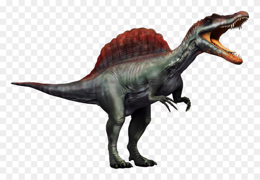 1988x1328 Esta Es La Última Versión De La Descripción De Spinosaurus - Spinosaurus Png