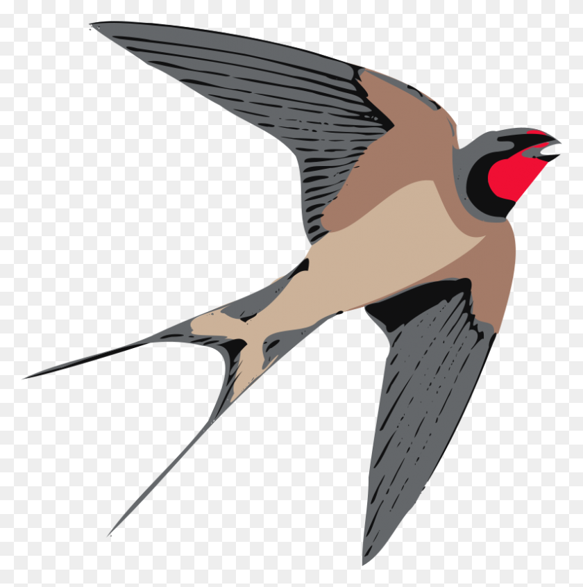 794x800 This Swallow Clip Art Is - Reference Clipart
