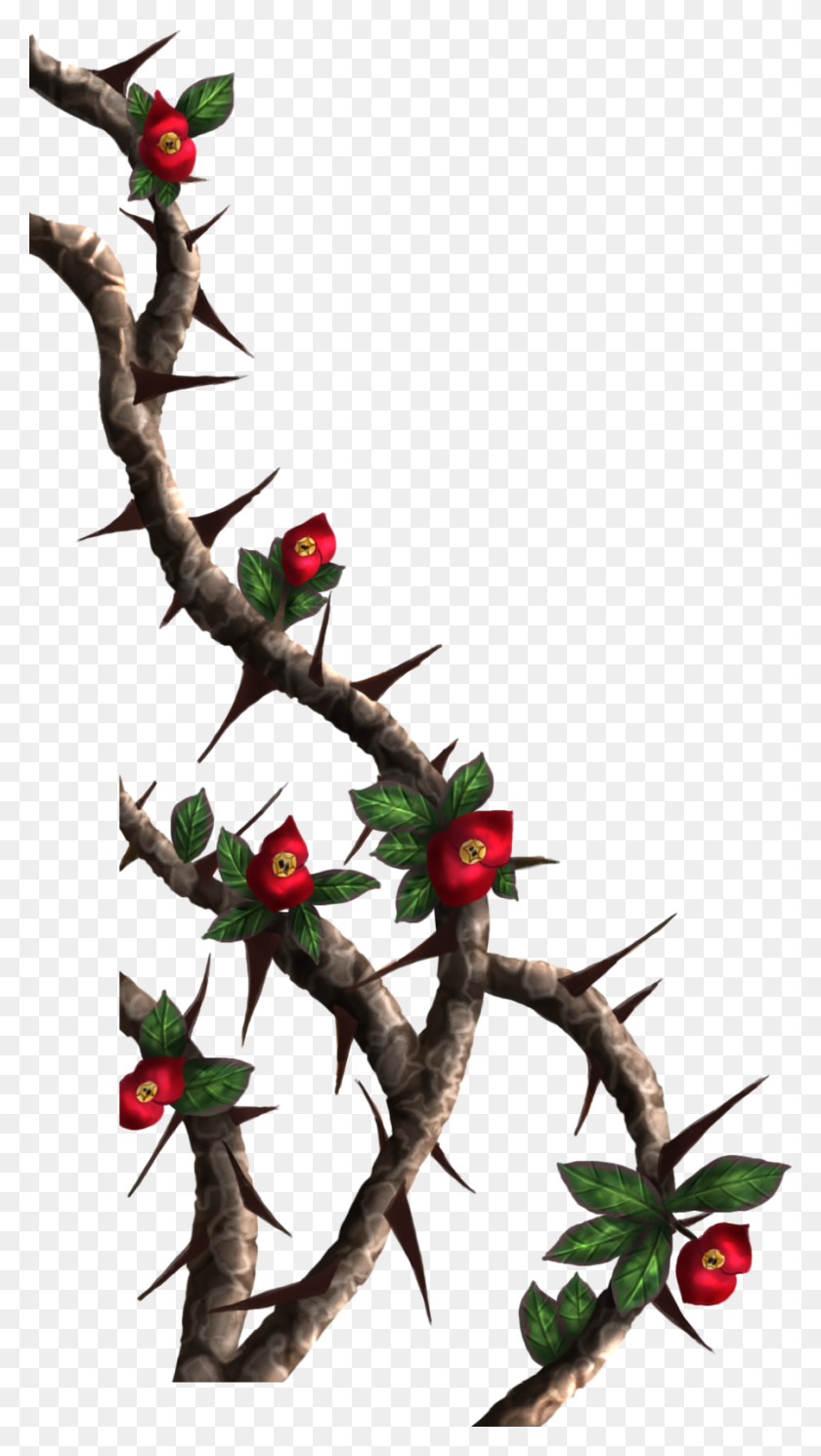 900x1650 Thorny Vines Png Png Image - Vines PNG