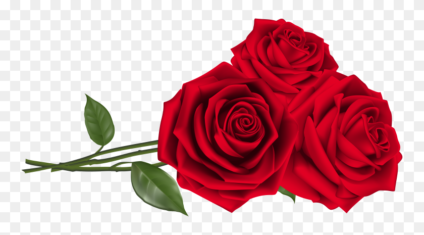 6007x3124 Three Red Roses Png Clipart - Red Rose PNG