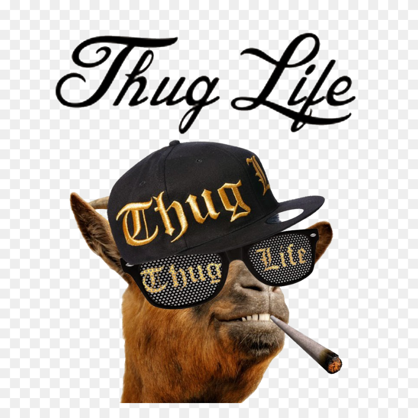 900x900 Thug Life Png - Thug Life PNG