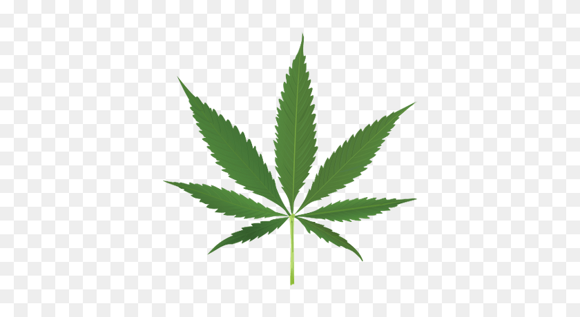 400x400 Thug Life Weed Leaf Transparent Png - Marijuana Leaf PNG