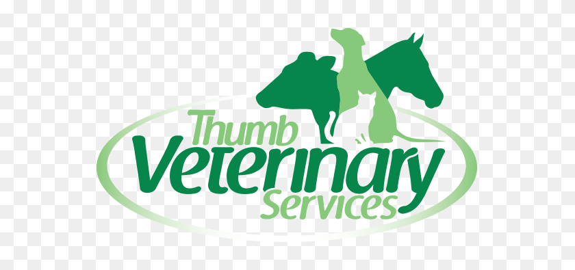 576x335 Ветеринарные Услуги Thumb - Ветеринарный Клипарт