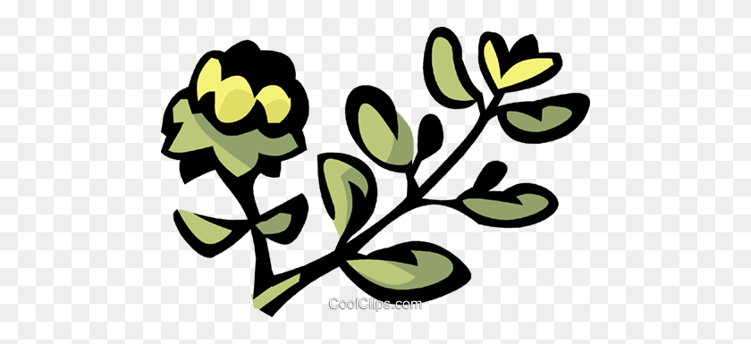 480x325 Thyme Royalty Free Vector Clip Art Illustration - Thyme Clipart