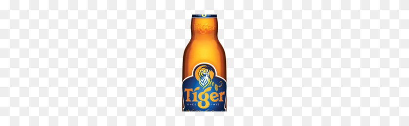 246x200 Tiger Beer Bottle Png Png Image - Beer Bottle PNG