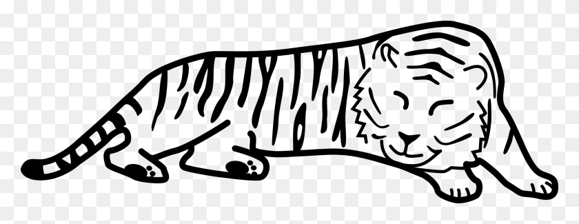 2400x818 Тигр Черно-Белый Спящий Тигр Клипарт Клипартfest - Спящий В Постели Клипарт