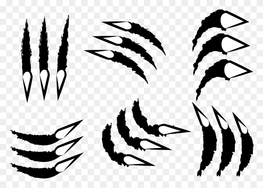 1450x1007 Tiger Claw Free Vector Art - Page Rip PNG