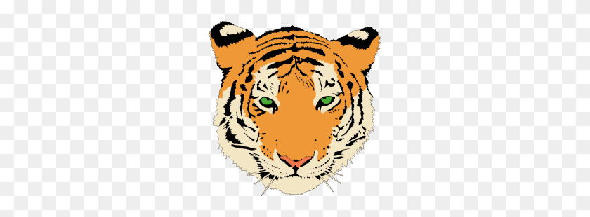 244x250 Tigre Clipart - Tigre Png
