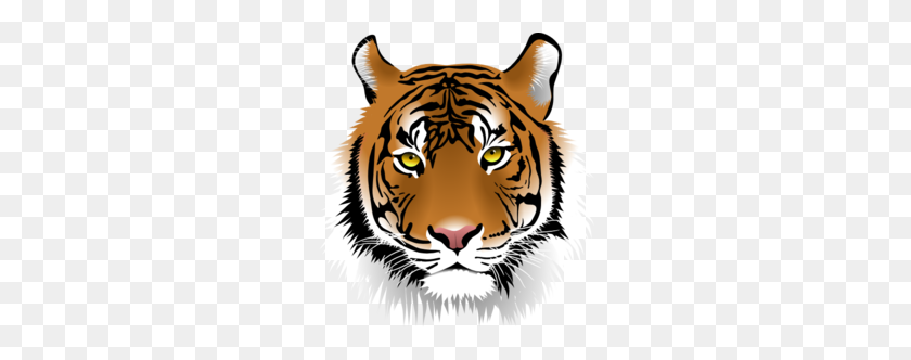 Tiger Face Clipart Tiger Clipart Face Stunning Free