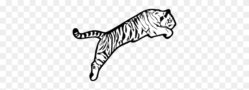 350x245 Tiger Marketing Black And White Tiger - White Tiger PNG