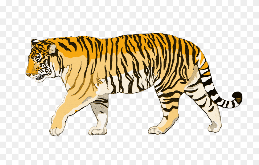 2320x1418 Png Тигр