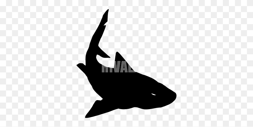 332x361 Тигровая Акула Картинки - Тигровая Акула Клипарт