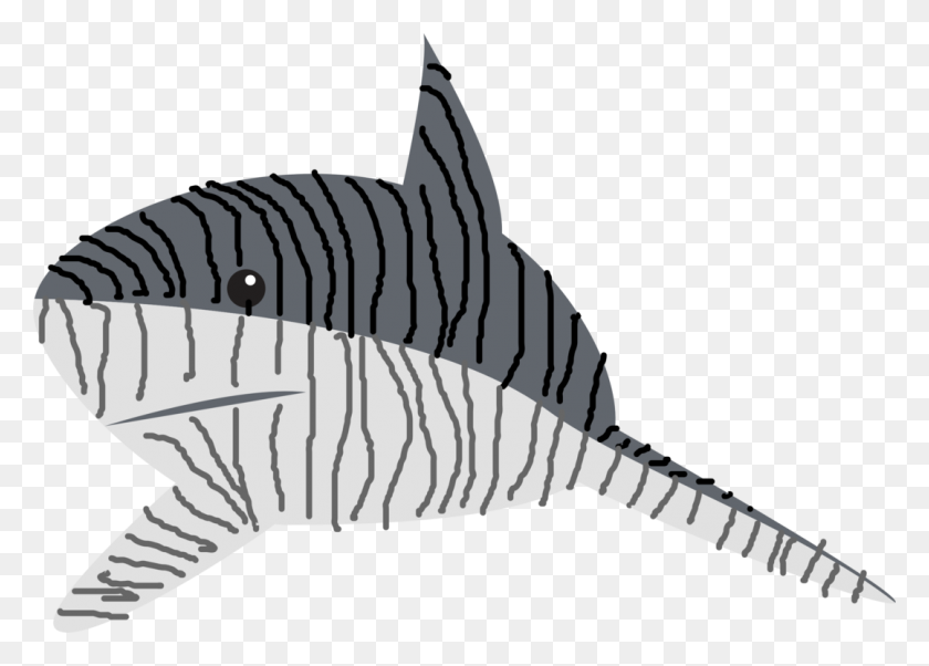 1078x750 Tiger Shark Drawing Line Art Great White Shark - Shark Black And White Clipart