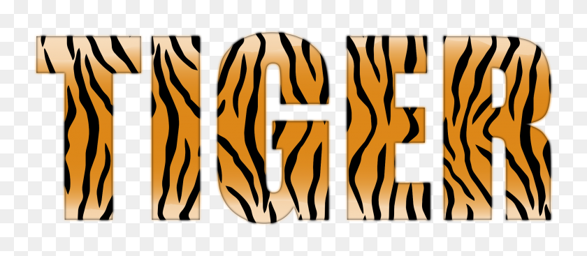 2400x945 Tiger Typography Enhanced Icons Png - Tiger PNG