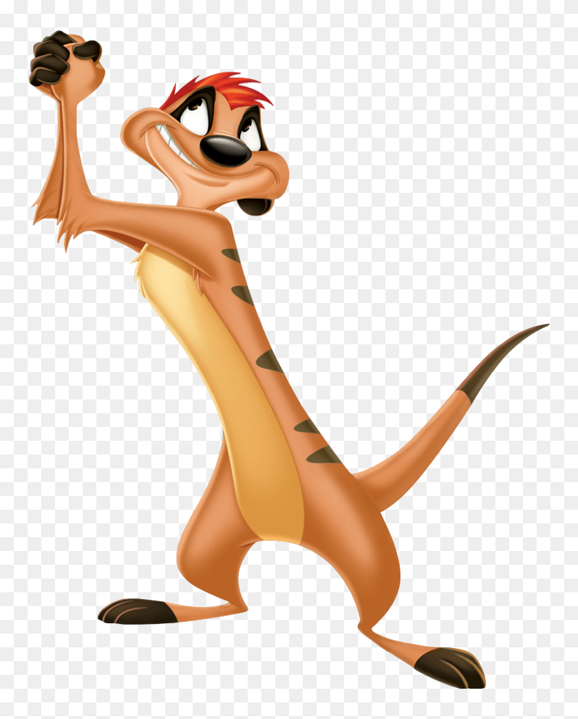 1337x1688 Timon Png