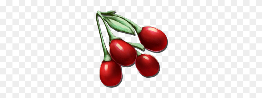 256x256 Tintoberry - Berries PNG