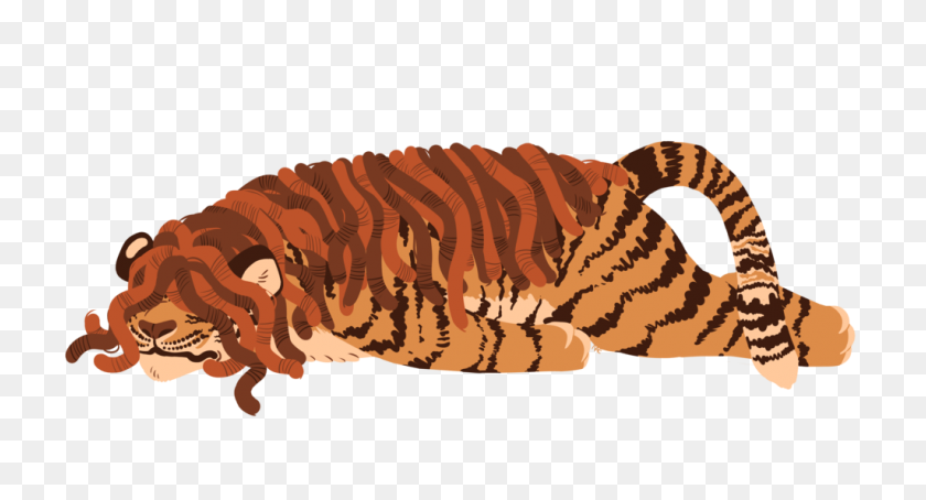1024x518 Tired Tiger - Dreads Clipart