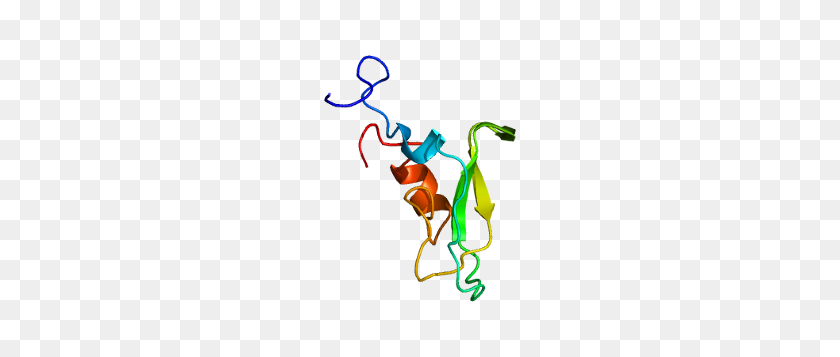 242x297 Tissue Factor Pathway Inhibitor - Pathway PNG