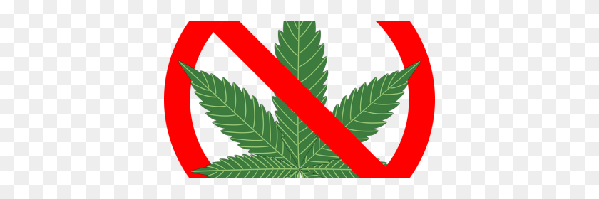 380x220 To Gauge Pot Use, Canada Turns To Its Sewers California - Weed Leaf Clipart