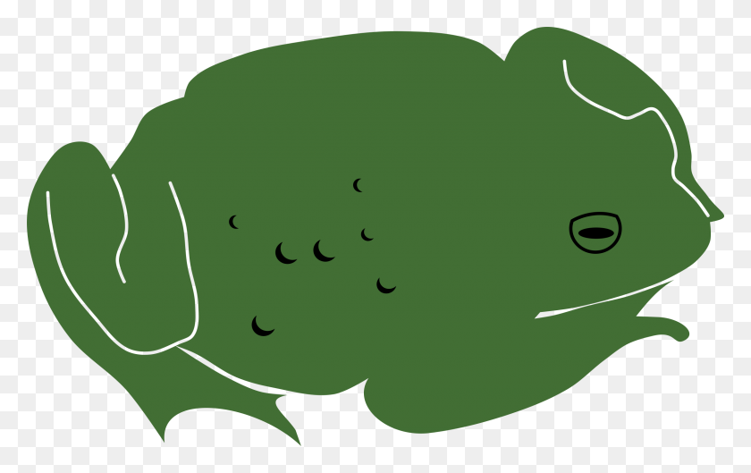 2400x1444 Toad - Toad PNG
