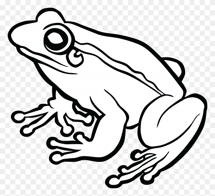 4000x3618 Toad Png Black And White Transparent Toad Black And White - Toad PNG
