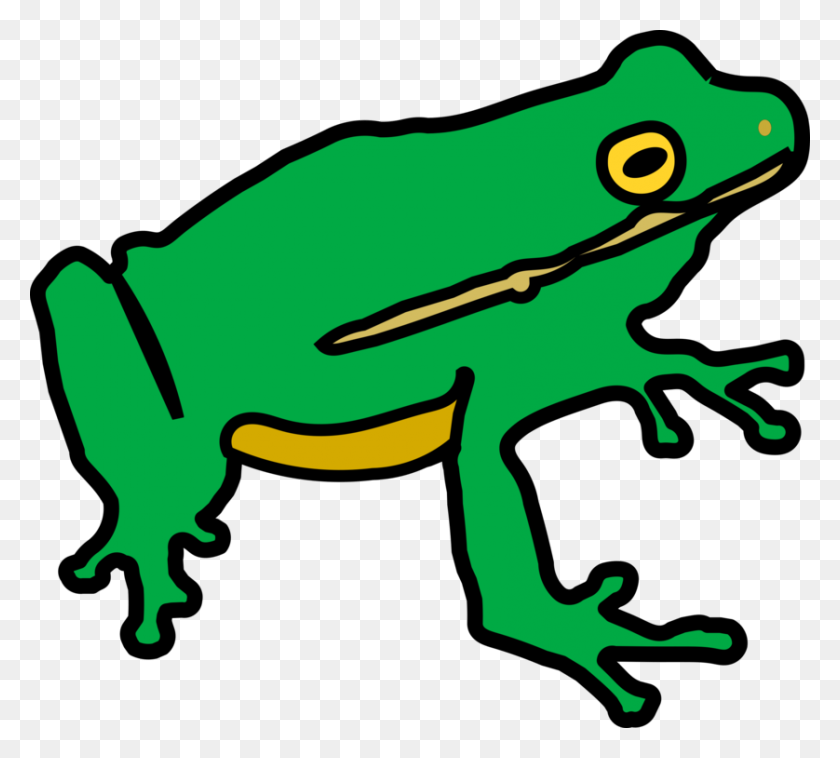 838x750 Toad Tree Frog Amphibian Lithobates Clamitans - Red Eyed Tree Frog Clipart