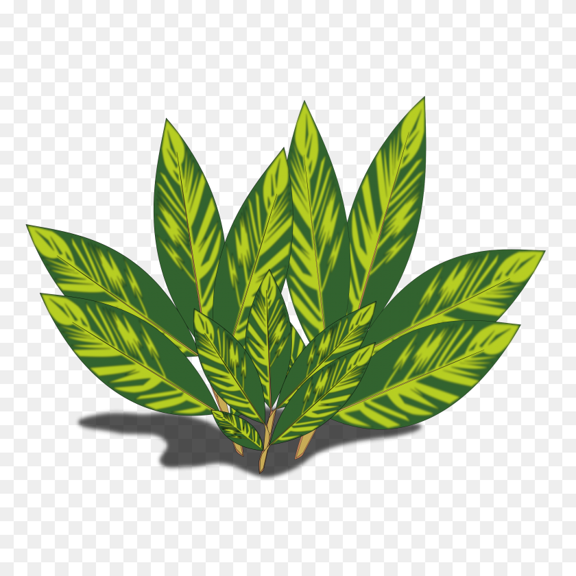 2400x2400 Tobacco Leaf Clip Art - Tobacco Leaf Clipart