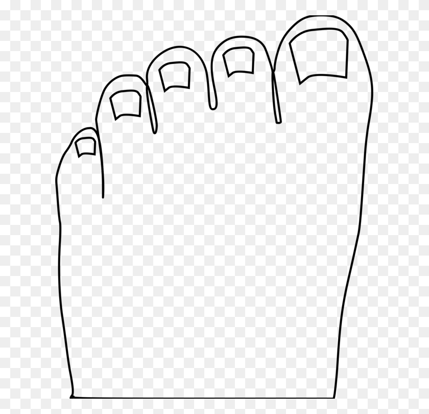 623x750 Toe Foot Human Body Computer Icons - United States Outline PNG